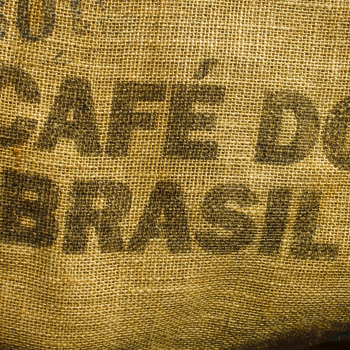 BREW ‘EM ALL / BRAZIL PAUBRASIL: MEDIUM DARK