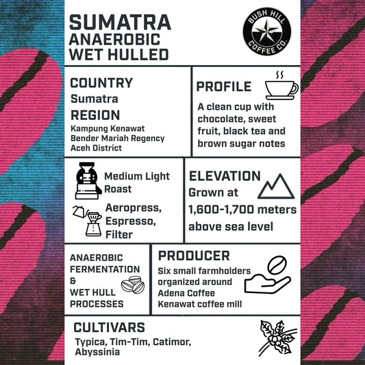 SINGLE POUR OVER PACK / SUMATRA ANAEROBIC WET HULL