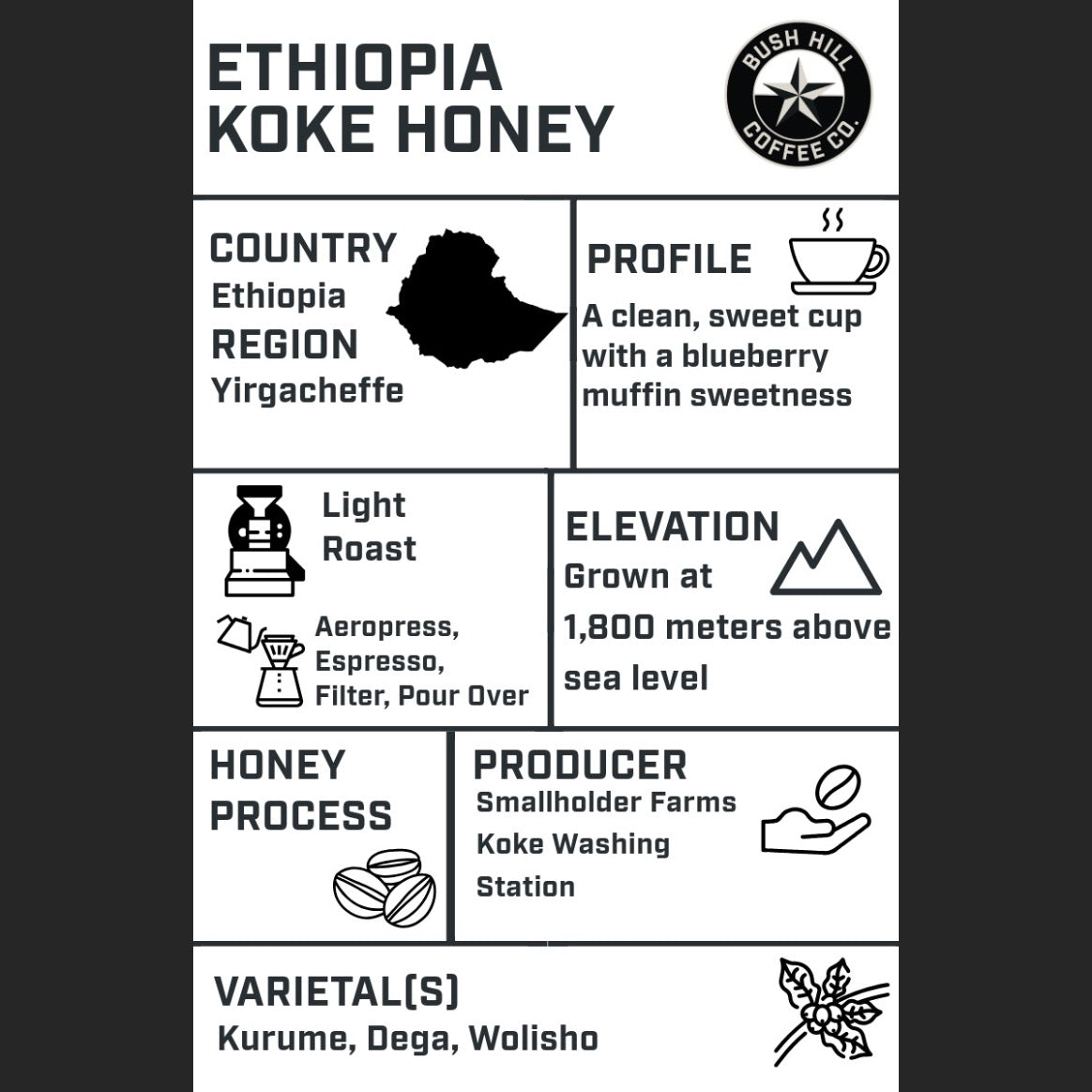 BREW FIGHTERS / ETHIOPIA KOKE HONEY: MEDIUM