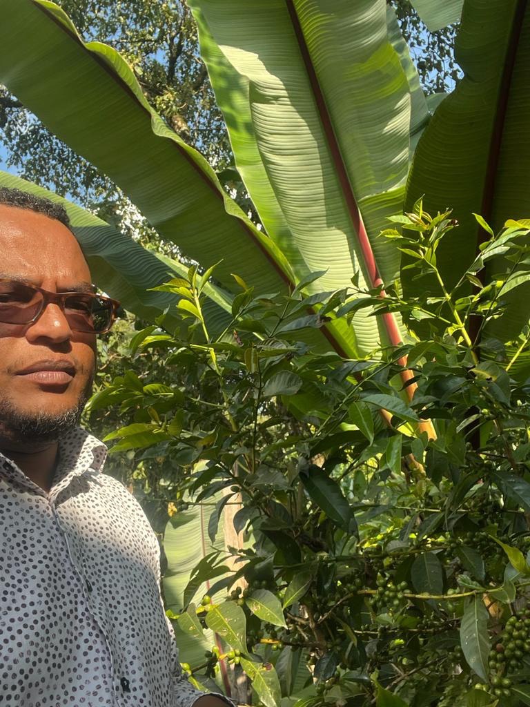 DRINK-182 / ETHIOPIA HABTAMU FIKADU AGA, JEJEBA OUTGROWERS: LIGHT MEDIUM