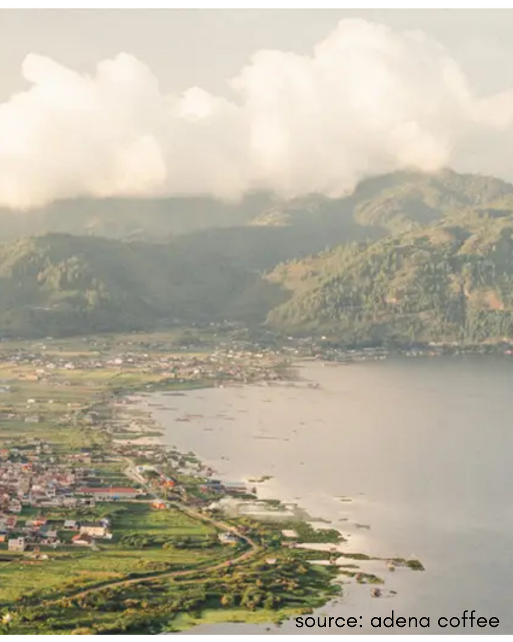 INSTANT POUR OVER PACK: SUMATRA ANAEROBIC WET HULL: LIGHT MEDIUM