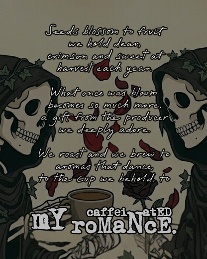 ECUADOR PABLO PONCE / MY CAFFEINATED ROMANCE