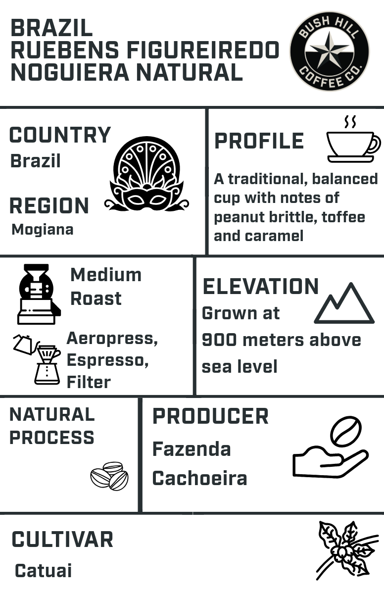 EVERGRIND (SMELLS LIKE BEAN SPIRIT) / BRAZIL REUBENS FIGUREIREDO NOGUEIRA NATURAL: MEDIUM