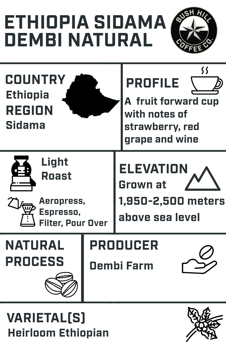 DRINK-182 / ETHIOPIA SIDAMA DEMBI NATURAL: LIGHT