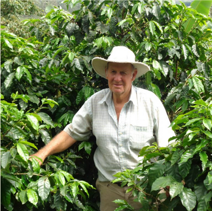 COSTA RICA ANAEROBIC WASHED / MUG SHACK