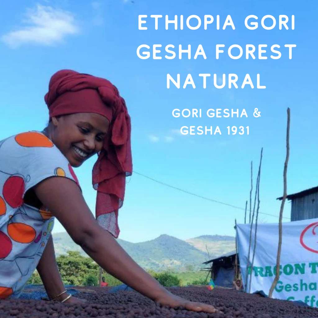 EXTRACTING DRAGONS: RATIO ACTIVE / ETHIOPIA GORI GESHA FOREST NATURAL: LIGHT