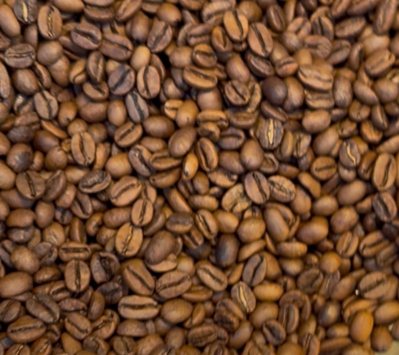 THEM BEANS / COSTA RICA DIEGO GUARDIA