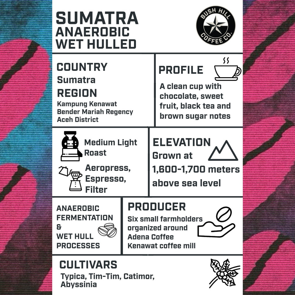INSTANT POUR OVER PACK: SUMATRA ANAEROBIC WET HULL: LIGHT MEDIUM