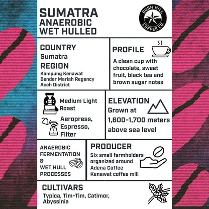 SINGLE POUR OVER PACK / SUMATRA ANAEROBIC WET HULL