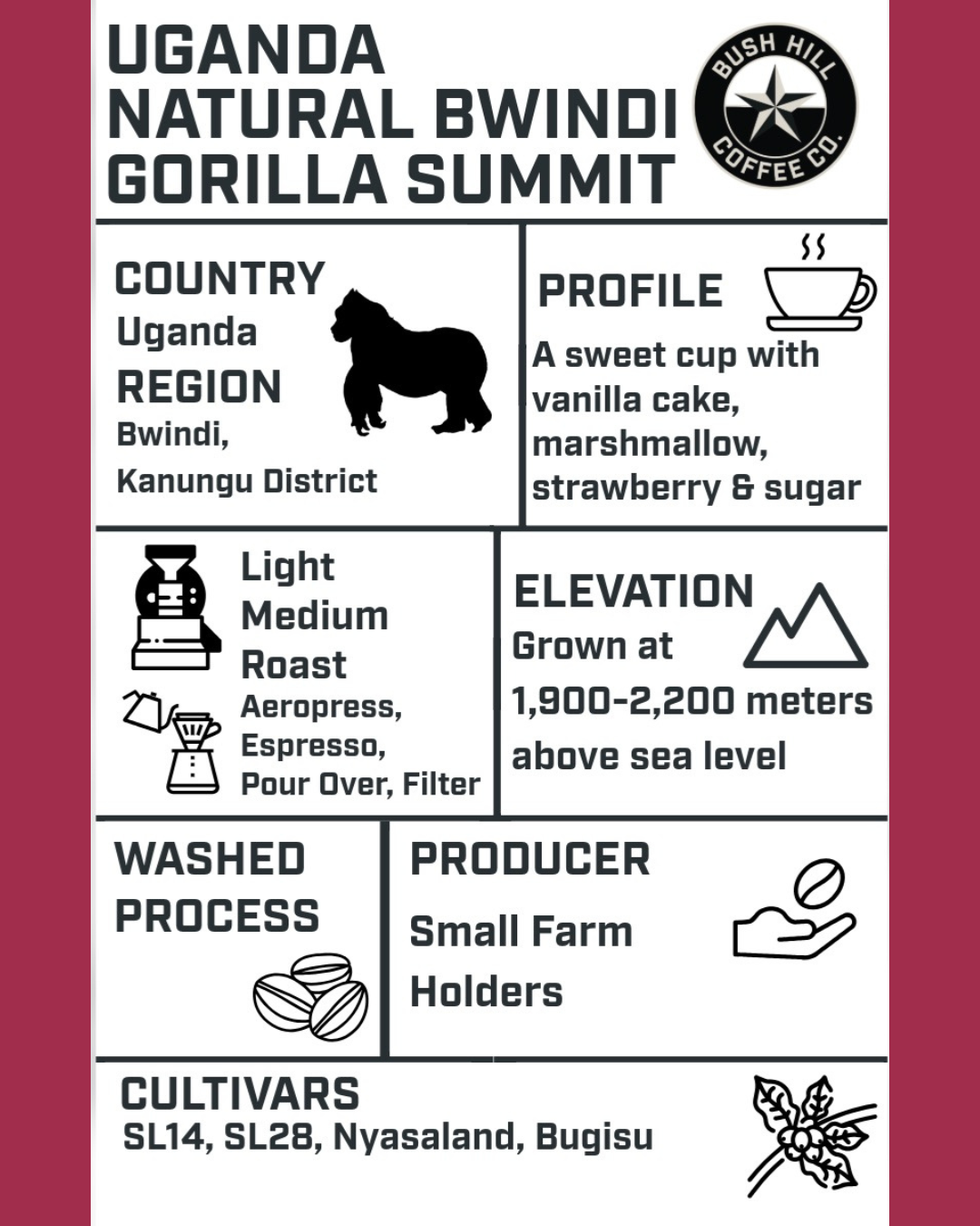 ARABICA VULGARIS / UGANDA BWINDI GORILLA SUMMIT : LIGHT MEDIUM