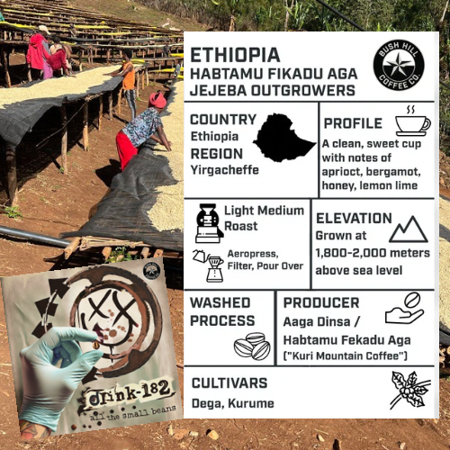 DRINK-182 / ETHIOPIA HABTAMU FIKADU AGA, JEJEBA OUTGROWERS: LIGHT MEDIUM