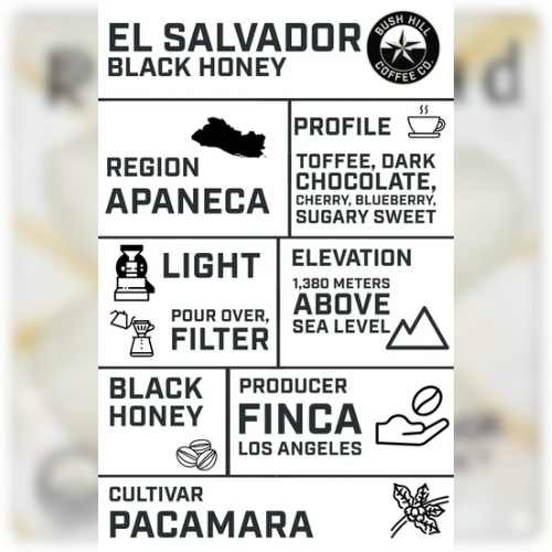 RATIOHEAD / EL SAVADOR BLACK HONEY: LIGHT