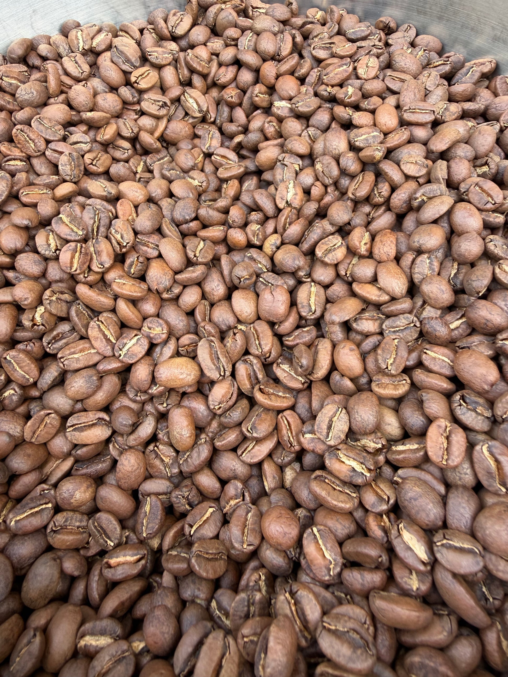 DAILY RITUAL / PERU FTO NORTE 8oz