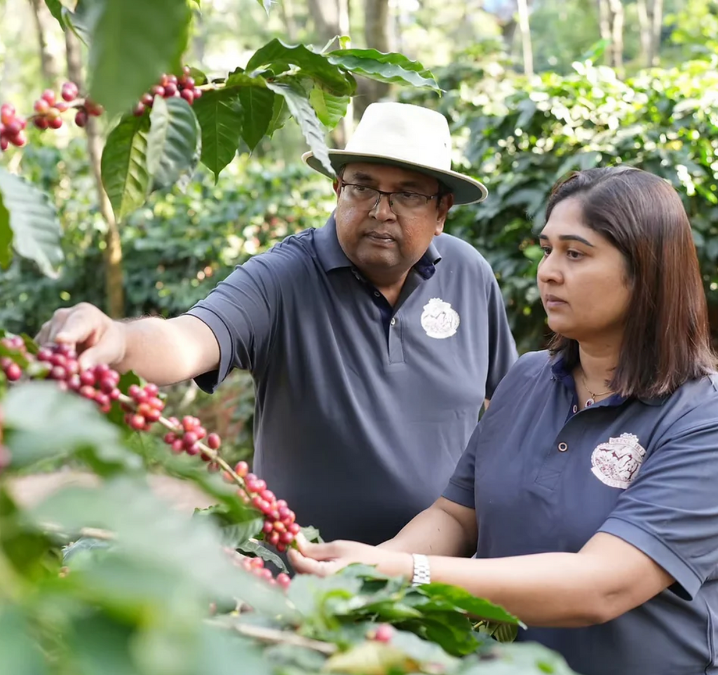 BEAN DAY / INDIA RATNAGIRI ESTATE SEQUENTIAL WASHED: MEDIUM