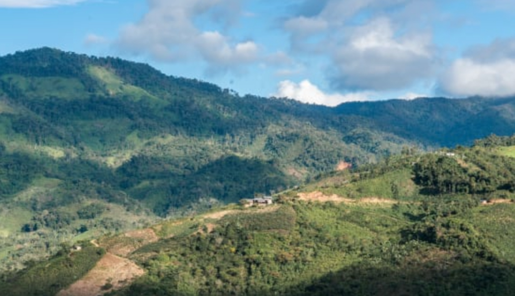 INSTANT POUR OVER SINGLE PACK: PERU MICROLOT - OSCAR ABAD WASHED GESHA