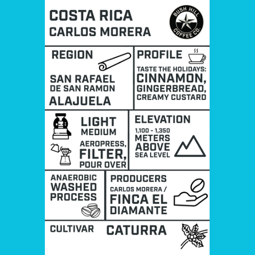 MUG SHACK / COSTA RICA ANAEROBIC WASHED : LIGHT MEDIUM